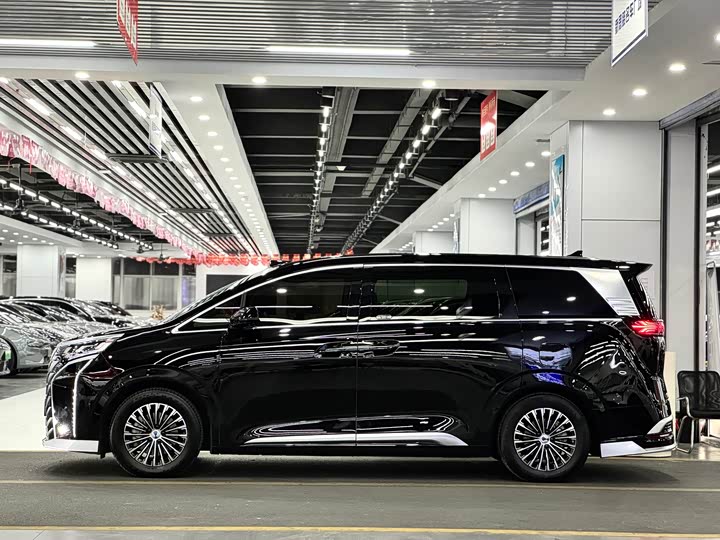 Фото 8 - Denza D9