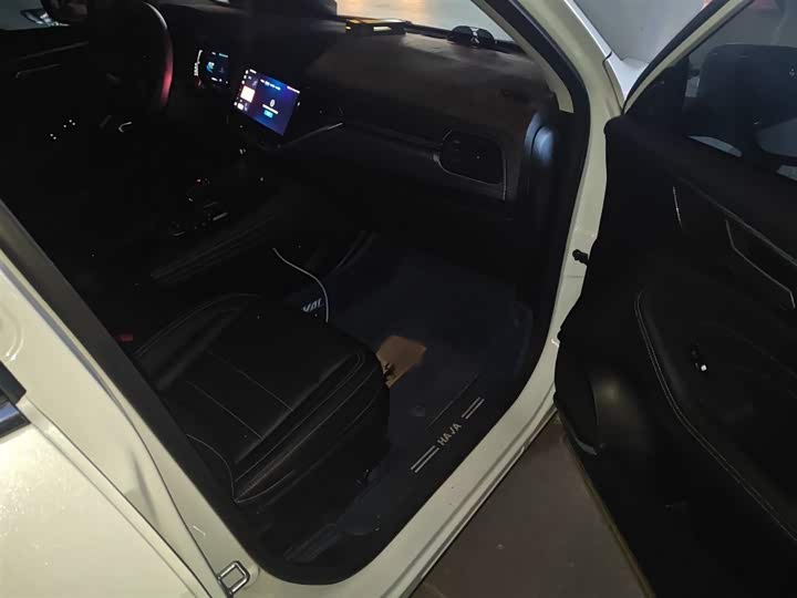 Фото 20 - Haval F7x