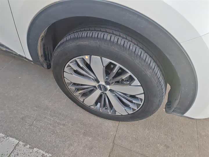 Фото 31 - Haval F7x