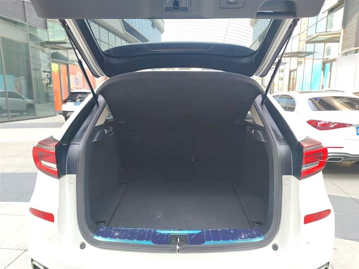 Фото 19 - Honda Avancier