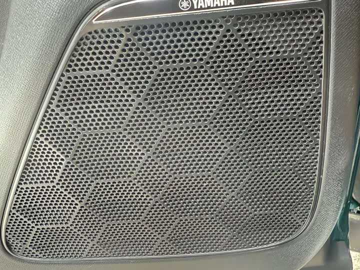 Фото 11 - GAC Trumpchi M8