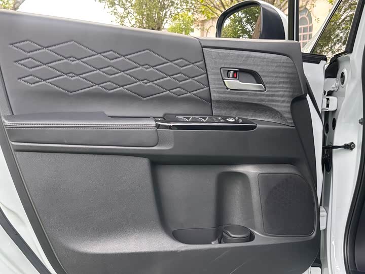 Фото 17 - Honda Elysion