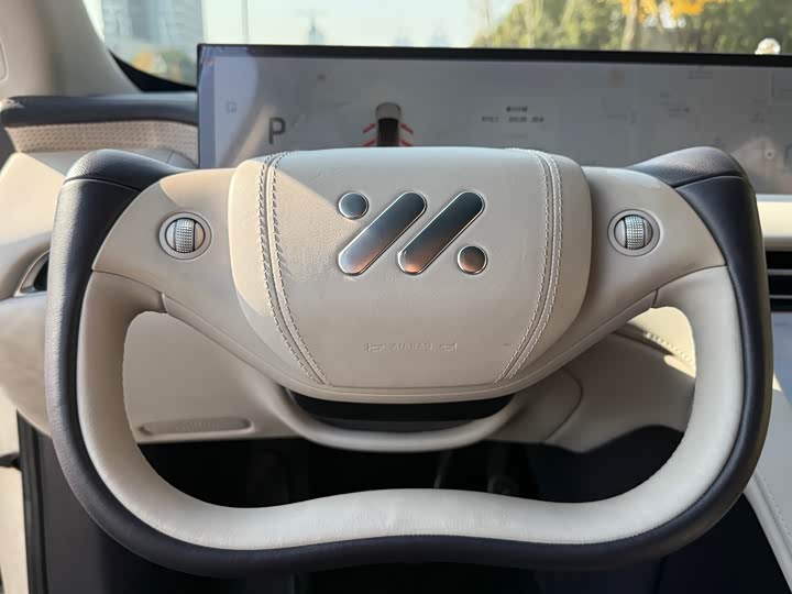 Фото 15 - IM motors LS7