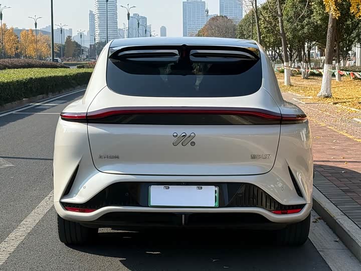 Фото 4 - IM motors LS7