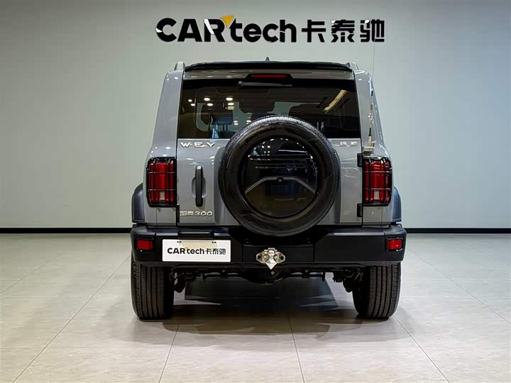 Фото 4 - Tank 300