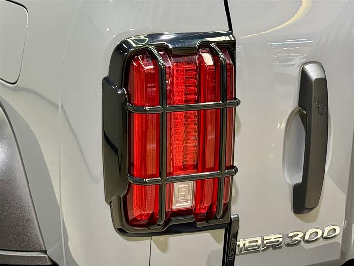 Фото 8 - Tank 300