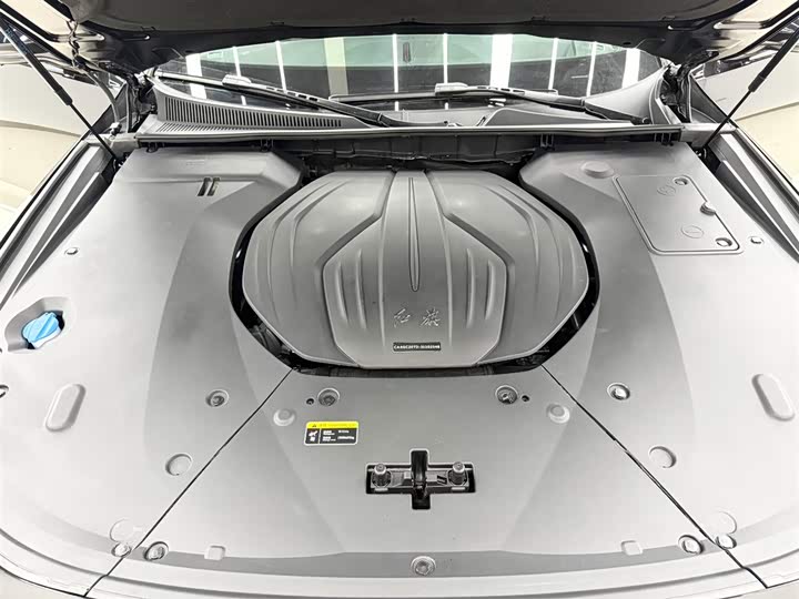 Фото 24 - Hongqi H9