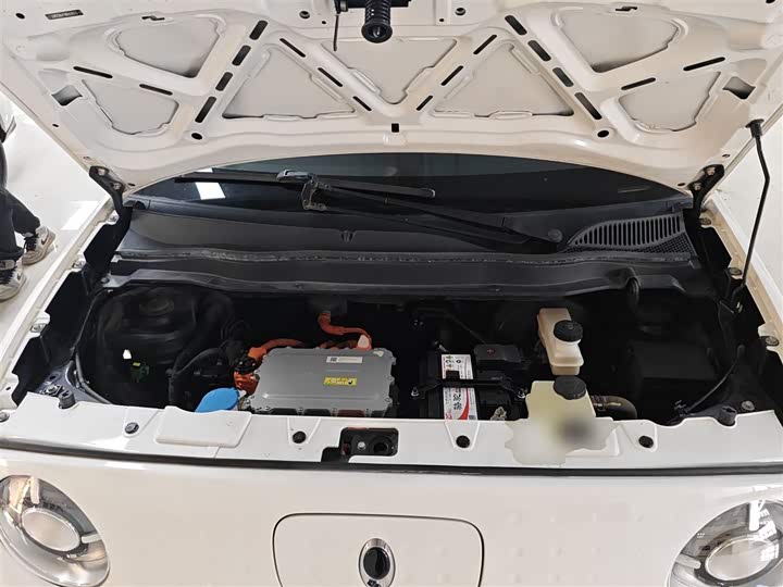 Фото 20 - Ora Black Cat