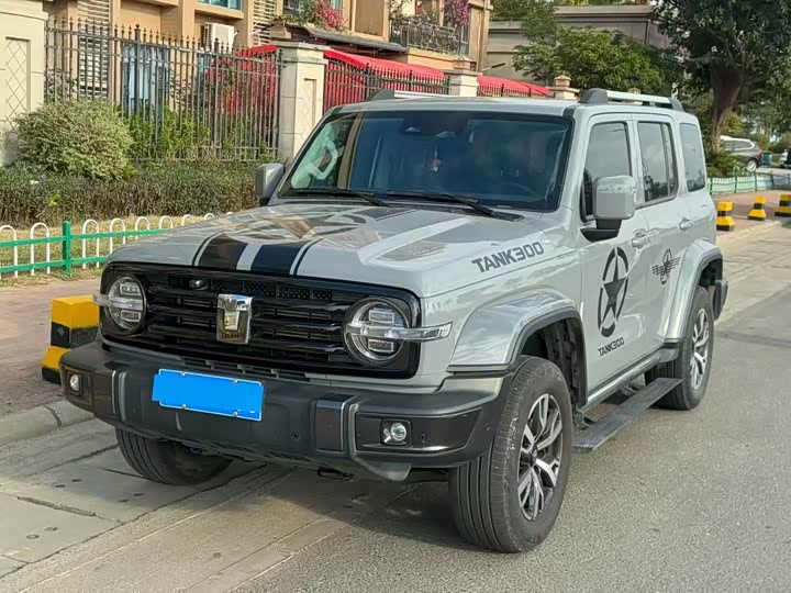 Фото 1 - Tank 300