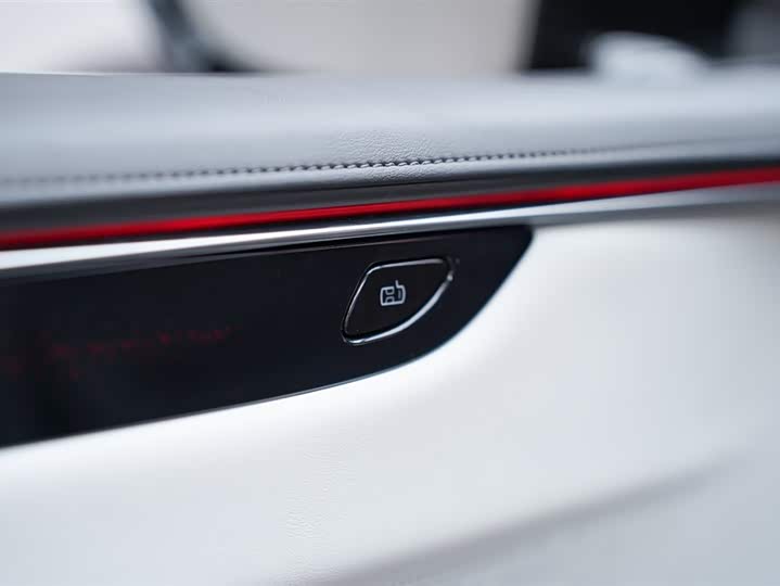 Фото 8 - HiPhi X