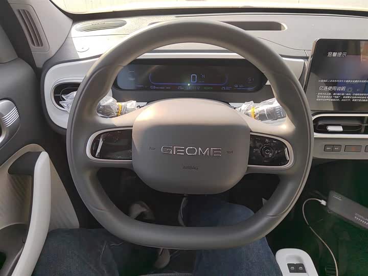 Фото 11 - Geely Galaxy Panda Mini