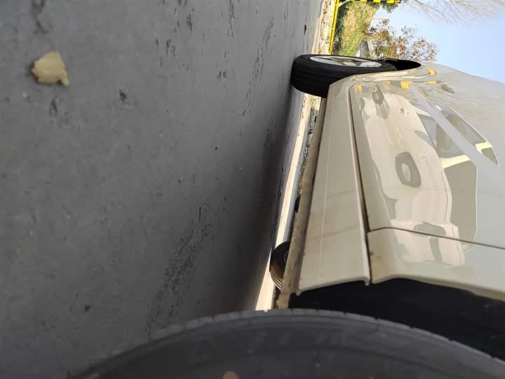 Фото 21 - Geely Galaxy Panda Mini