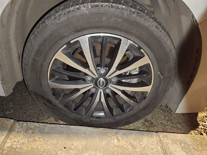 Фото 31 - GAC Trumpchi M8