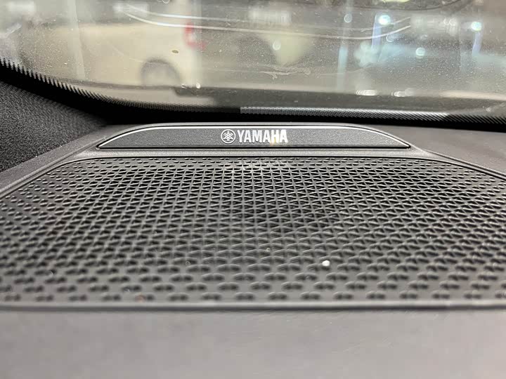 Фото 16 - GAC Trumpchi E9