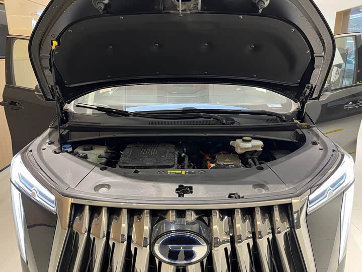 Фото 24 - GAC Trumpchi E9