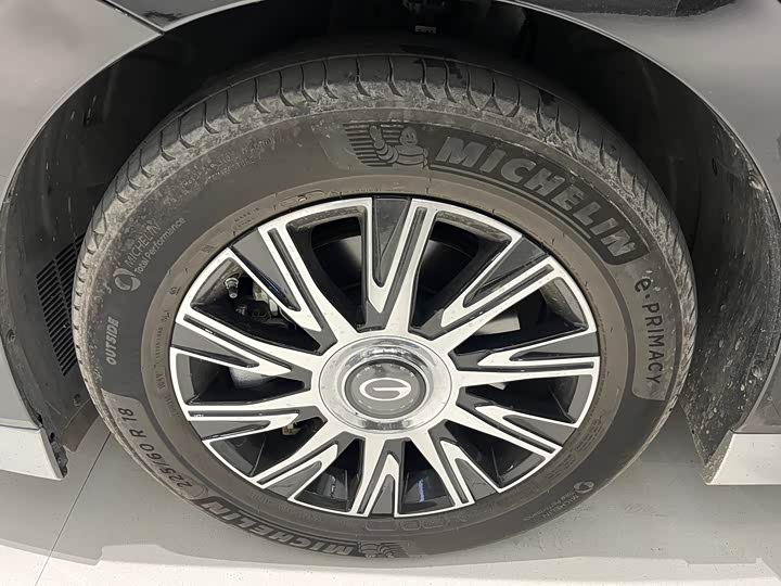 Фото 25 - GAC Trumpchi E9