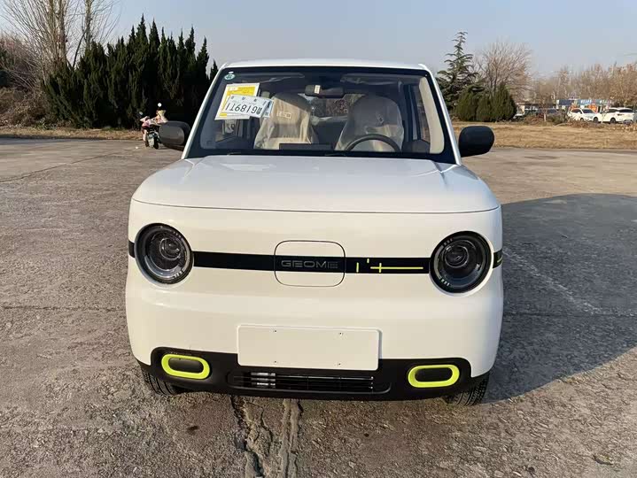 Фото 2 - Geely Galaxy Panda Mini