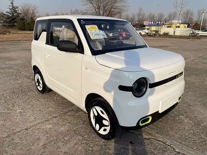 Фото 3 - Geely Galaxy Panda Mini