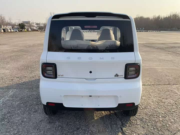 Фото 6 - Geely Galaxy Panda Mini