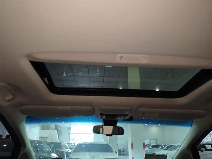 Фото 18 - Honda Elysion