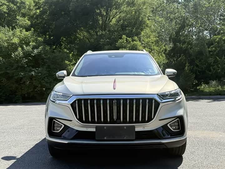 Фото 2 - Hongqi HS5