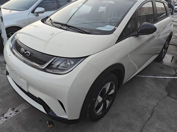 Фото 1 - BYD Dolphin