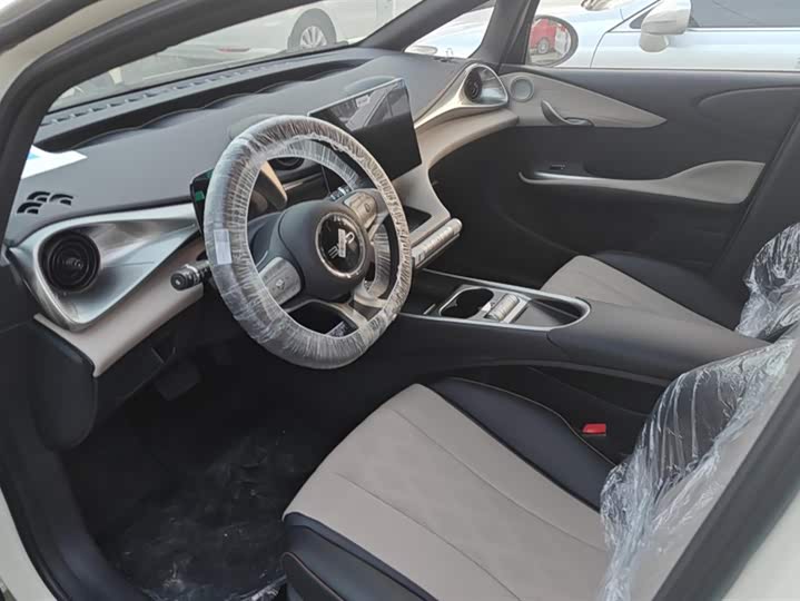 Фото 12 - BYD Dolphin