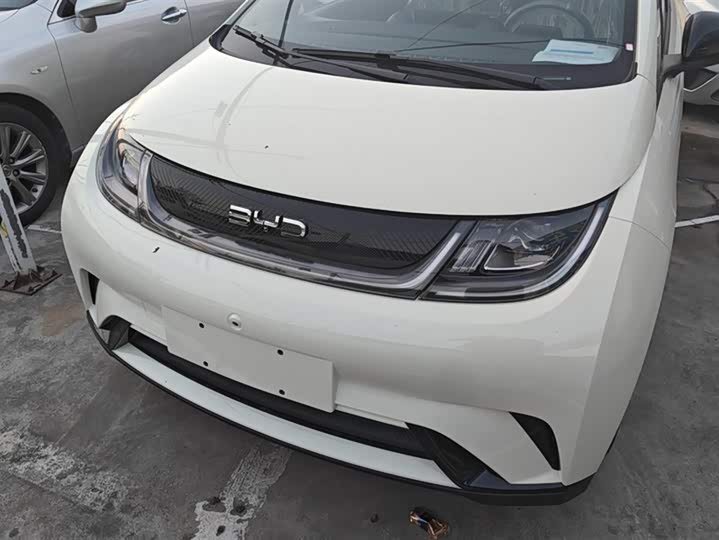 Фото 2 - BYD Dolphin