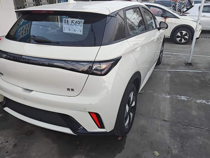 Фото 3 - BYD Dolphin