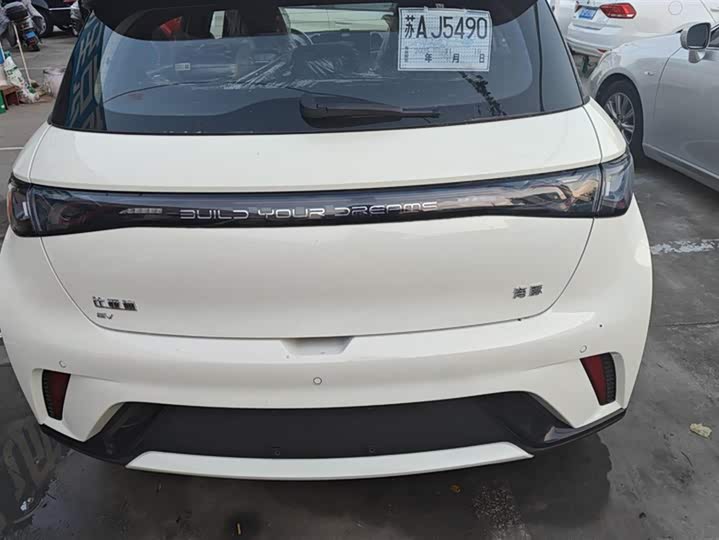 Фото 4 - BYD Dolphin