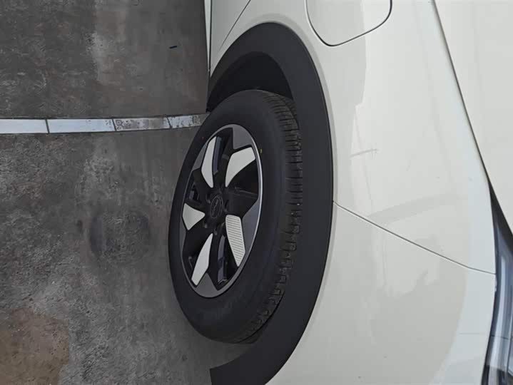 Фото 6 - BYD Dolphin