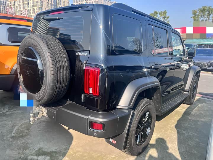 Фото 14 - Tank 300