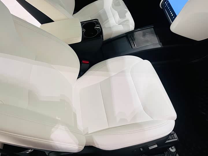 Фото 19 - Tesla Model X