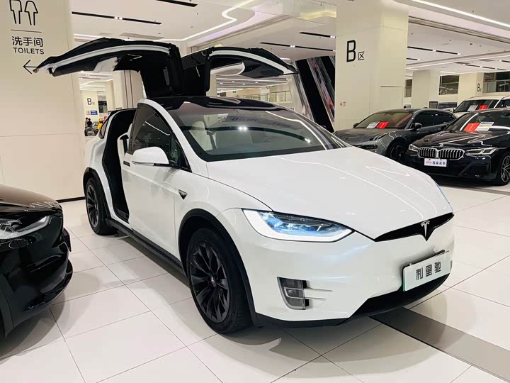 Фото 2 - Tesla Model X
