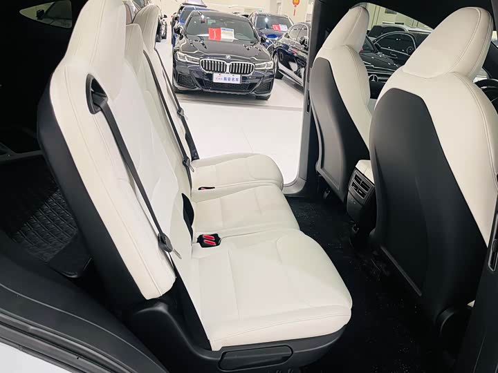 Фото 21 - Tesla Model X