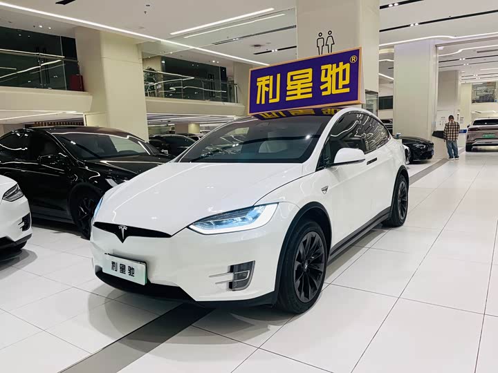 Фото 24 - Tesla Model X
