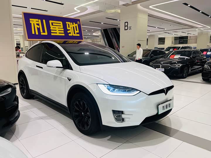 Фото 25 - Tesla Model X