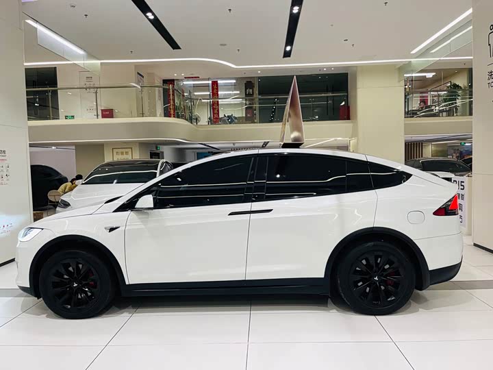 Фото 28 - Tesla Model X