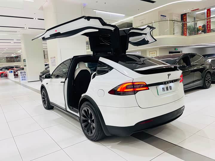Фото 3 - Tesla Model X