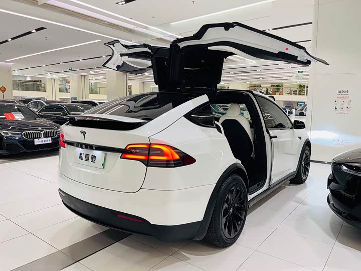 Фото 4 - Tesla Model X