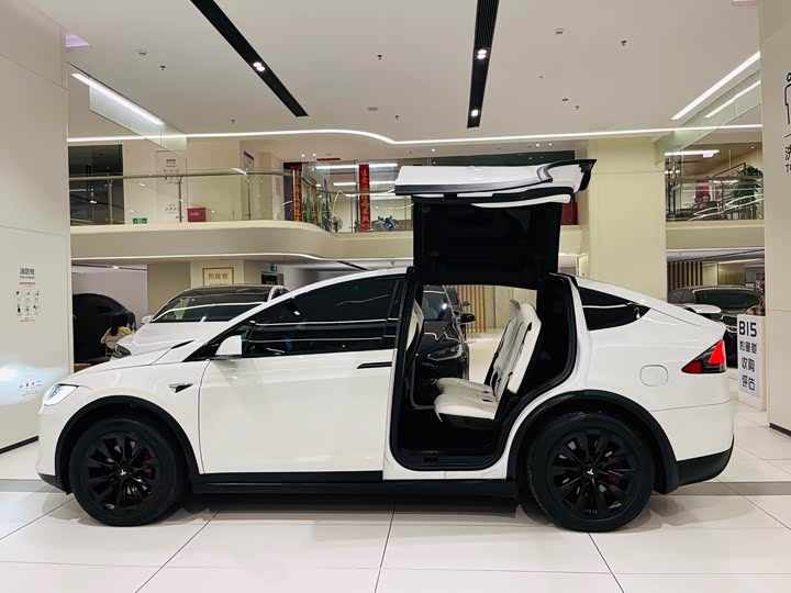 Фото 5 - Tesla Model X