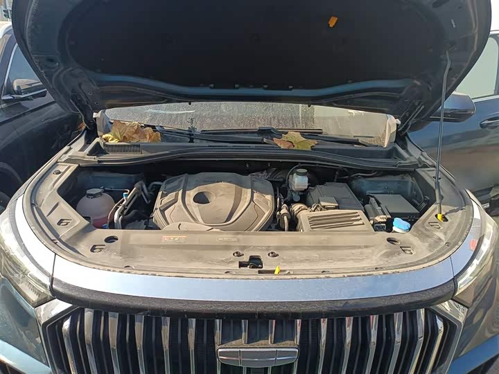 Фото 19 - Geely Okavango L