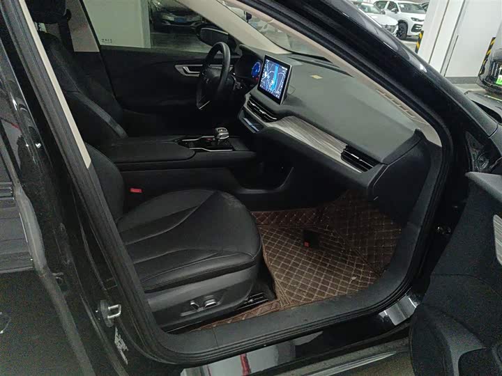 Фото 25 - Hongqi E-QM5