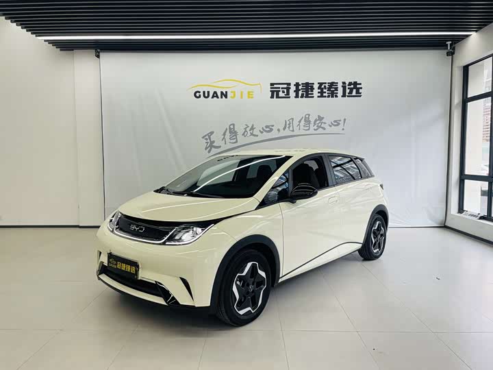 Фото 1 - BYD Dolphin