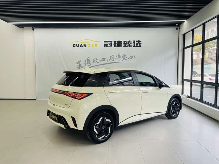 Фото 15 - BYD Dolphin