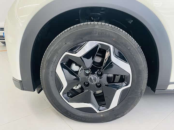 Фото 3 - BYD Dolphin