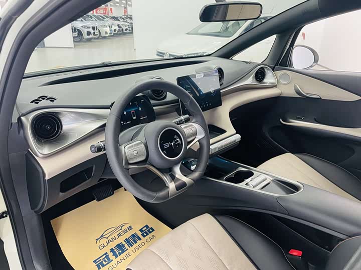 Фото 4 - BYD Dolphin