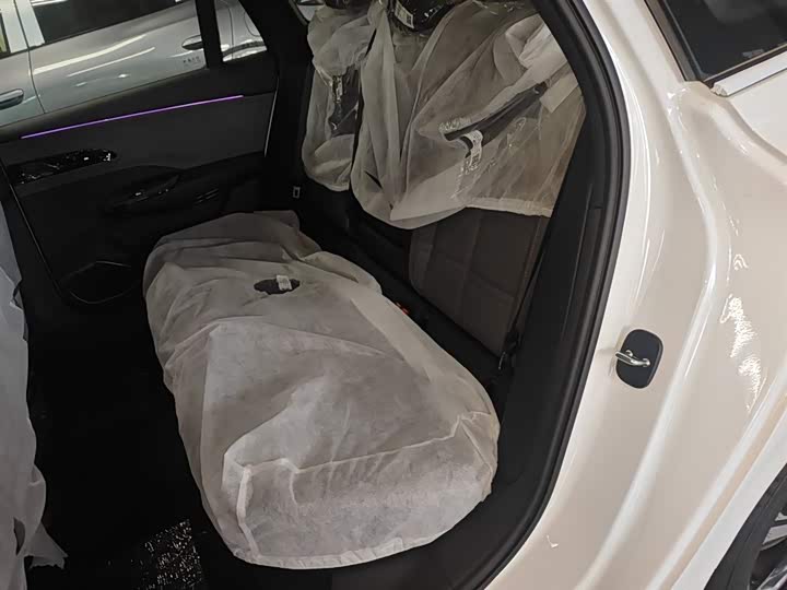 Фото 24 - Hongqi EH7