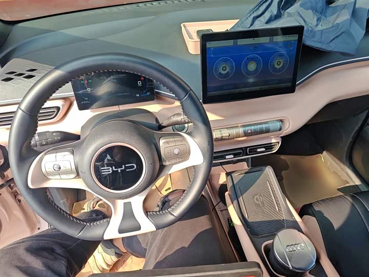 Фото 10 - BYD Seagull