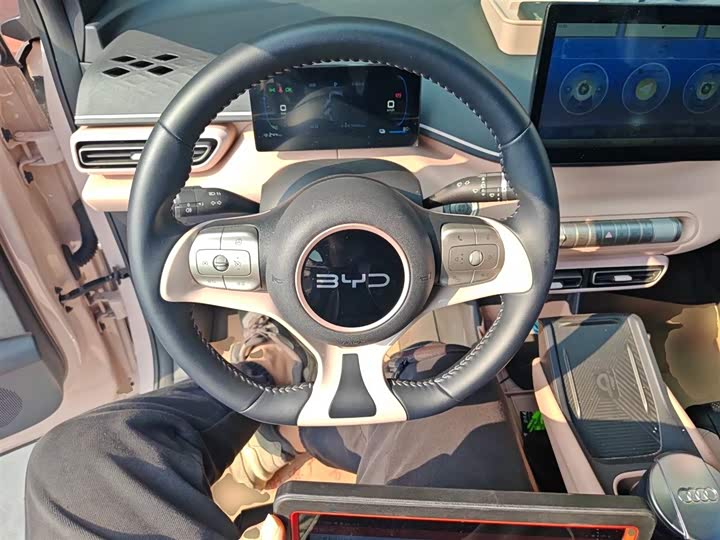 Фото 11 - BYD Seagull